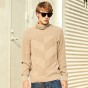Pioneer Camp New Style Turtleneck Sweater Men Brand Clothing Fashion Autumn Winter Pullover Knitwear Double Collar AMS701376
