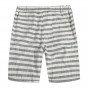 Brother Wang Brand 2018 Spring And Summer New Mens Shorts Fashion Casual Bermuda Striped Beach Straight Loose Cotton Shorts 310