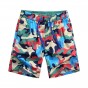 Brother Wang Brand 2018 Summer New Mens Shorts Fashionable Loose Hawaiian Beach Shorts Casual Men Clothing