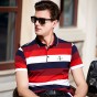 Brother Wang Brand 2018 Summer New Men's Polo Shirt Fashion Business Casual Cotton Short Sleeve Embroidery Stripes Polo Shirt