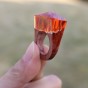 100% Handmade Orange Wood Forest Magical Finger Rings for Women Men Wooden Finger Ring Mystery Inside Wedding Bands 2018 Gift